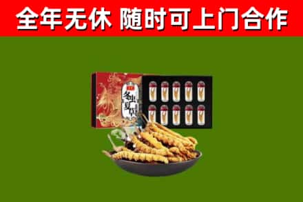 秦州回收冬虫夏草价格